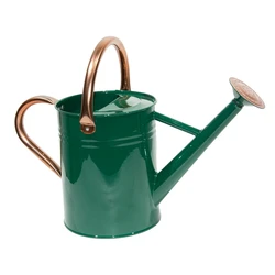Wholesale price of garden bronze metal Indoor & outdoor 3.8L watering can