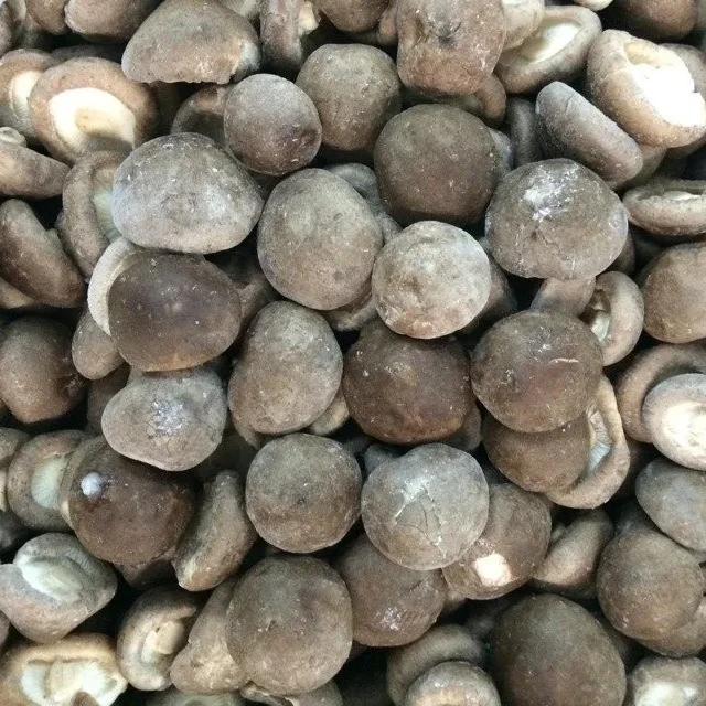 IQF Frozen Shiitake Mushroom Whole Cut Cubes