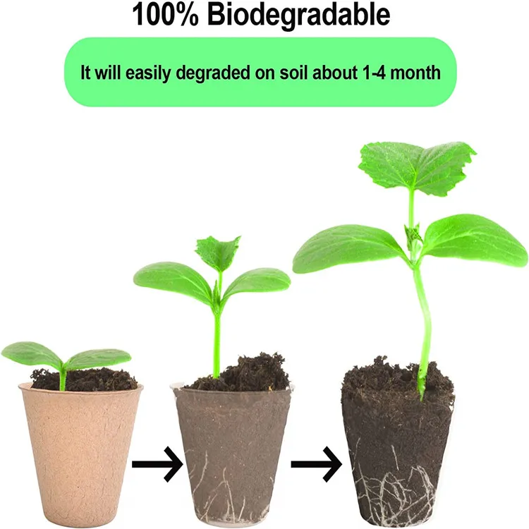 disposable Biodegradable paper Seed Starter Pots for starting flowers herbs vegetable saplings