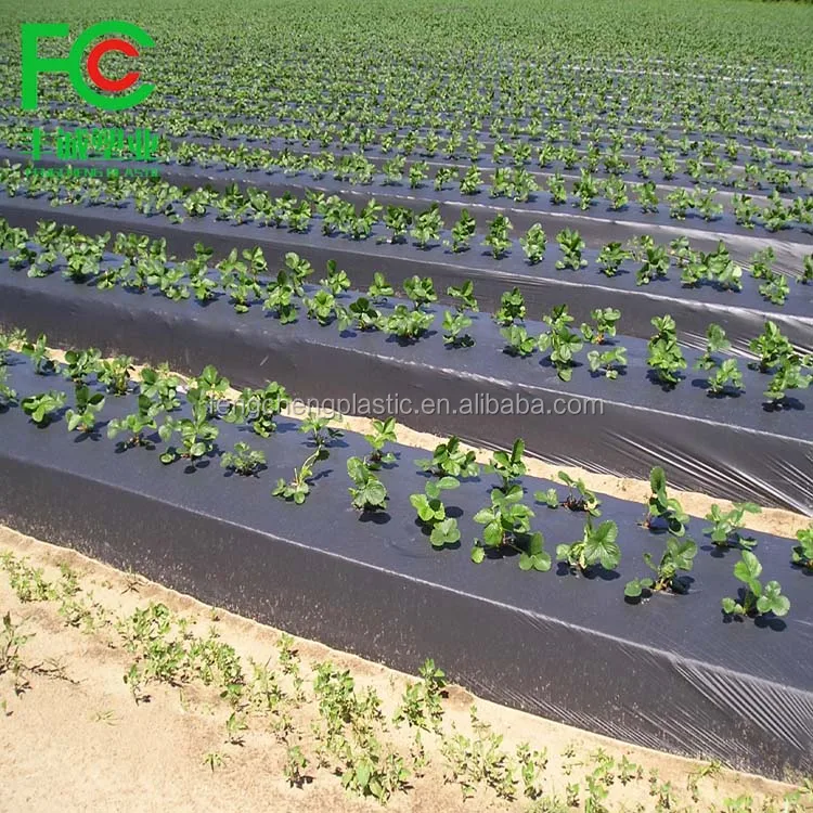 cheapest price 30micron agricultural perforated biodegradable PE black color mulch film with holes