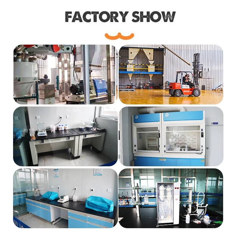 Dog Food Suppliers Wholesale High Protein Molar Nutrition 200g Duck Pet Biscuit Pet Snack