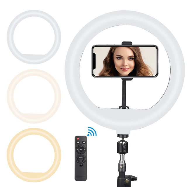 Wholesale USB Beauty Make Up Fill Photographic Lighting With Tripod Stand 10Inch 12Inch LED Ring Light tripod light
