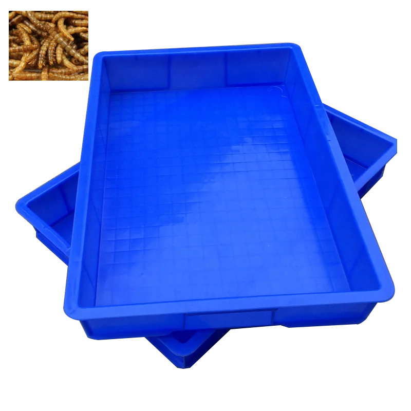 Контейнер для еды Mealworm tenebrio molitor box для продажи