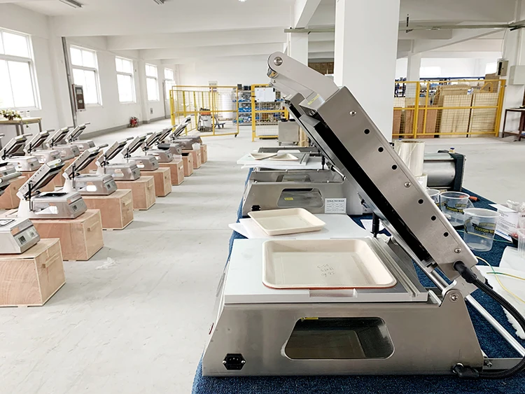 DS-2 ручная упаковочная машина для пищевых продуктов, пластиковый упаковщик, пластиковый контейнер для пищевых продуктов