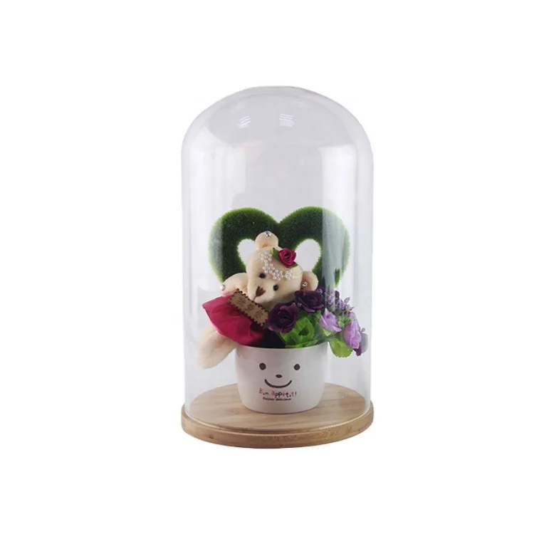 Wholesale transparent glass plant dome rose mini with high quality bamboo