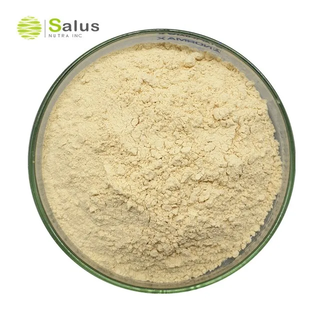 Organic Brown Rice Protein Powder