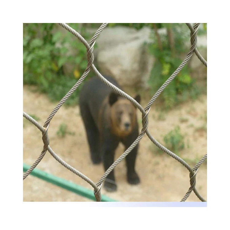 Stainless Steel Aviary Mesh Bird Netting The Big Zoo Stainless Steel Wire Rope Mesh Bird Cable Netting Aviary Mesh