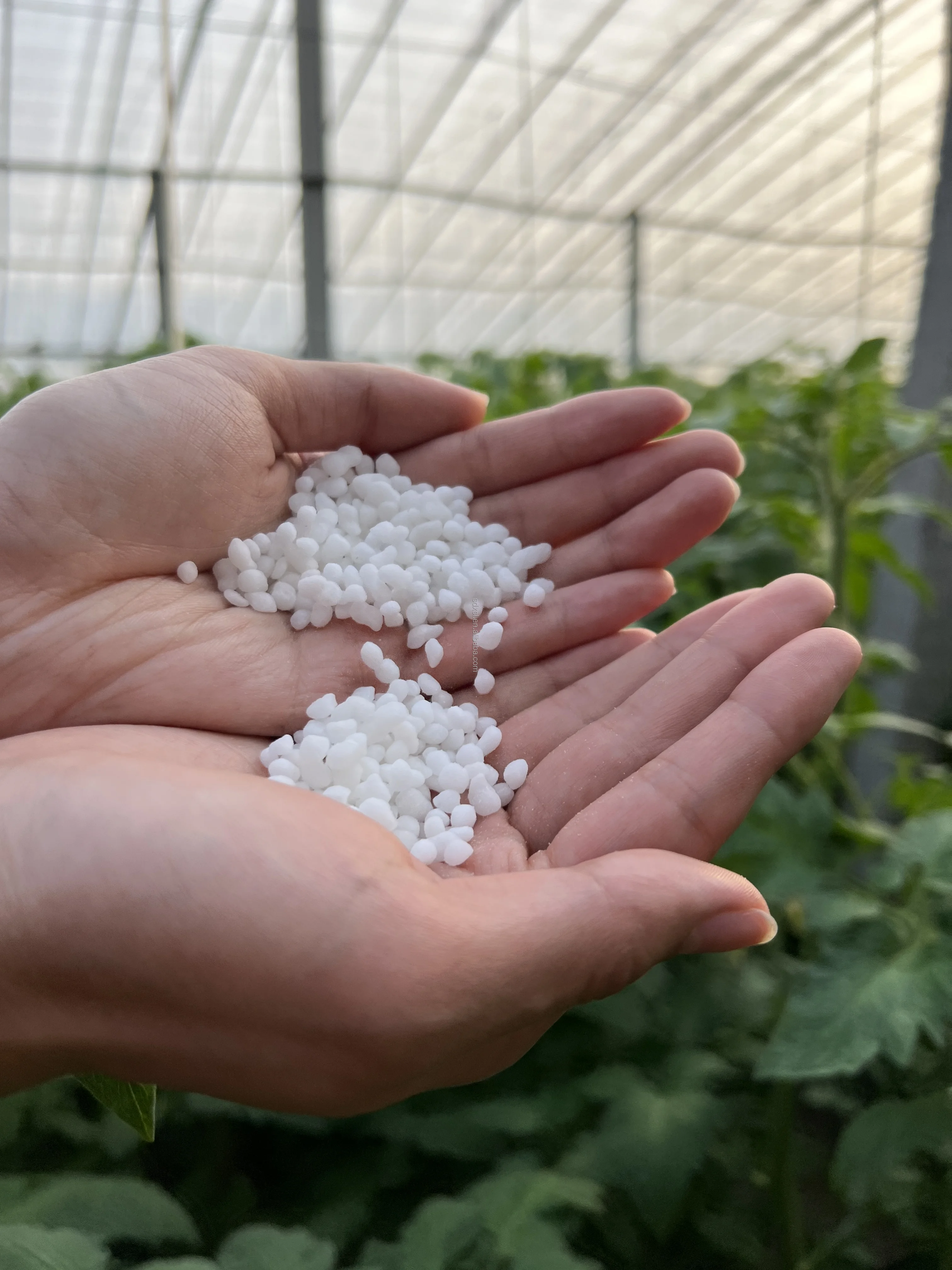 nitrogen powder sulphur fertilizer for vegetable garden nitrogen fertilizer