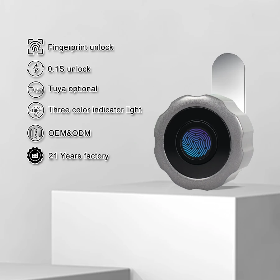 Electronic Fingerprint Tuya APP Keyless Office Mini Drawer Lock File Cabinet Smart Locker Cam Cylinder Locks