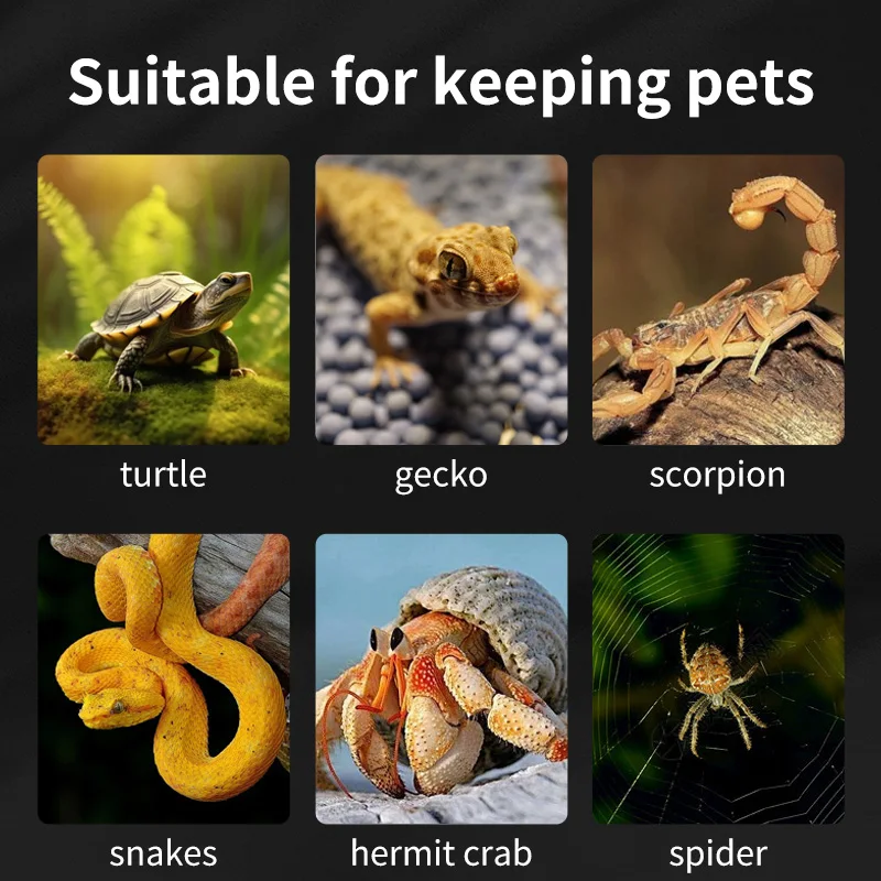 Magnetic Acrylic Reptile Cage Breeding Box Terrarium Tank Clear Feeding Habitat Scorpion Lizards transparent Acrylic Insect Box