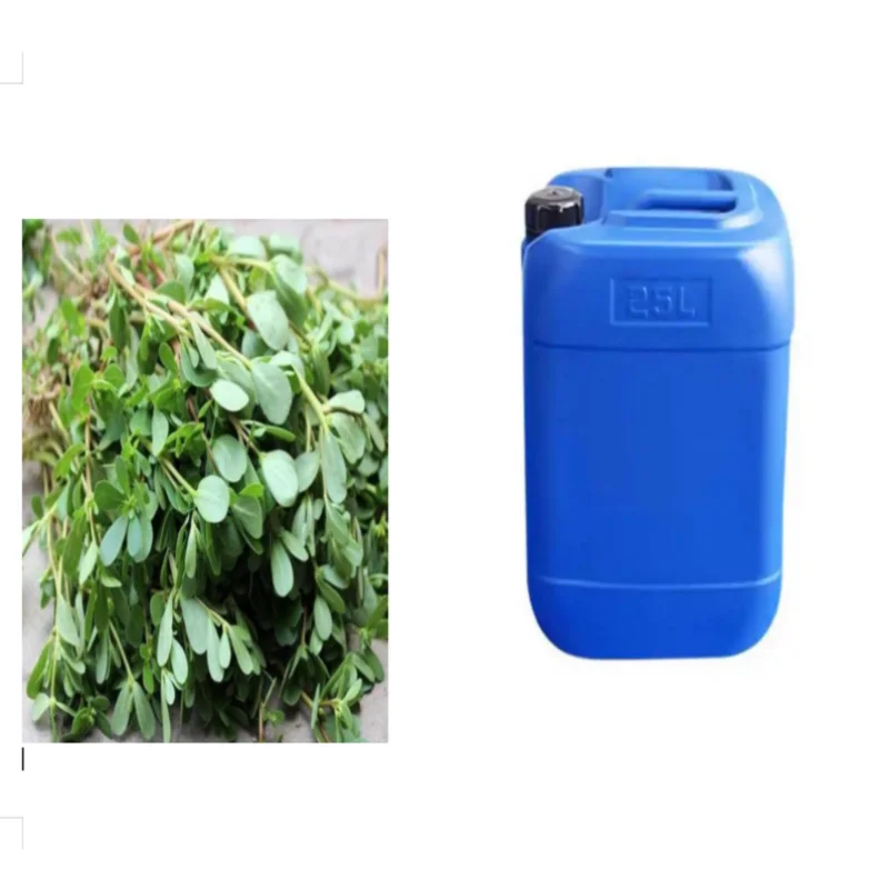 Manufacturers directly supply cosmetics and skin care raw material extract Portulaca Oleracea Extract Liquid