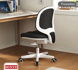 Armless Kid Study Chair Task Office Chair with Mesh Lumbar Support,Ergonomic Computer Chair No Arms,Adjustable Swivel H