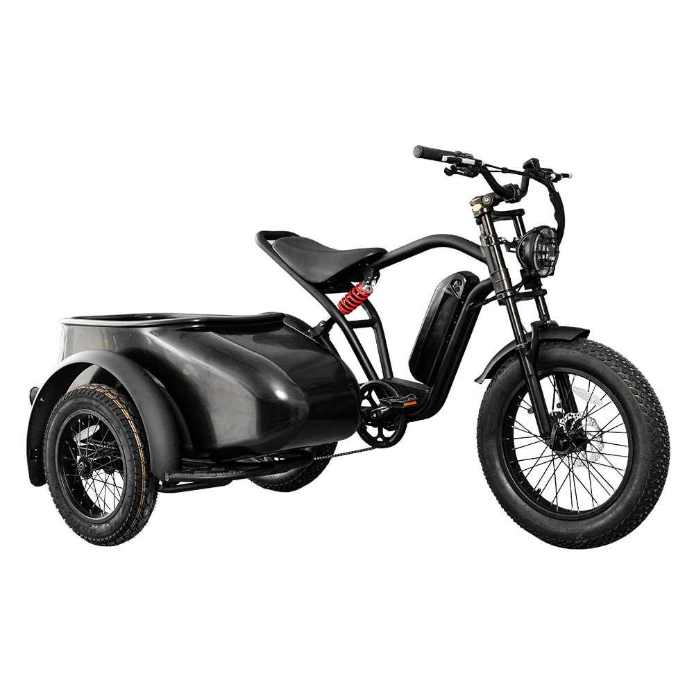 20inch fat tire side car electric bike conversion kit tricycle load children