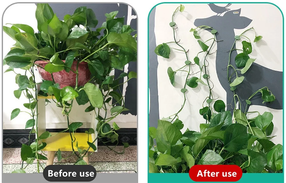 Plant Climbing Wall Leaf Clips Self-Adhesive Fixture Rattan Vine Fixed Buckle Garden Support Traction Fixing Hooks