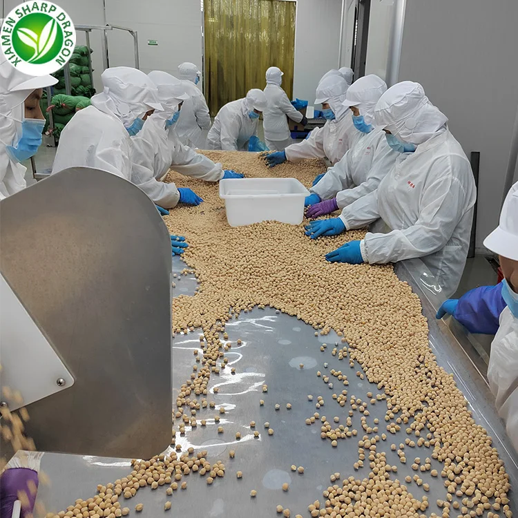 Organic Frozen Fresh Chickpeas Chick Peas Garbanzo beans with Freezing Freeze IQF Bulk Wholesale price