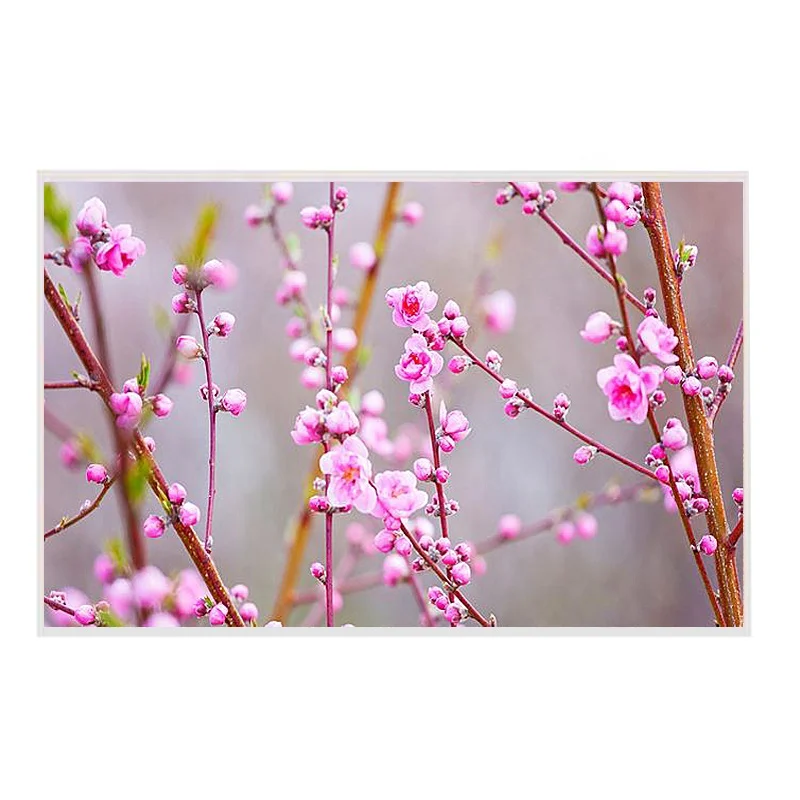 Заводской класс, ЖК-дисплей Full HD, сенсорный модуль 500, яркость 1920*1080, экран для ноутбука, Tuch Panel 21,5 дюйма, ЖК TFT