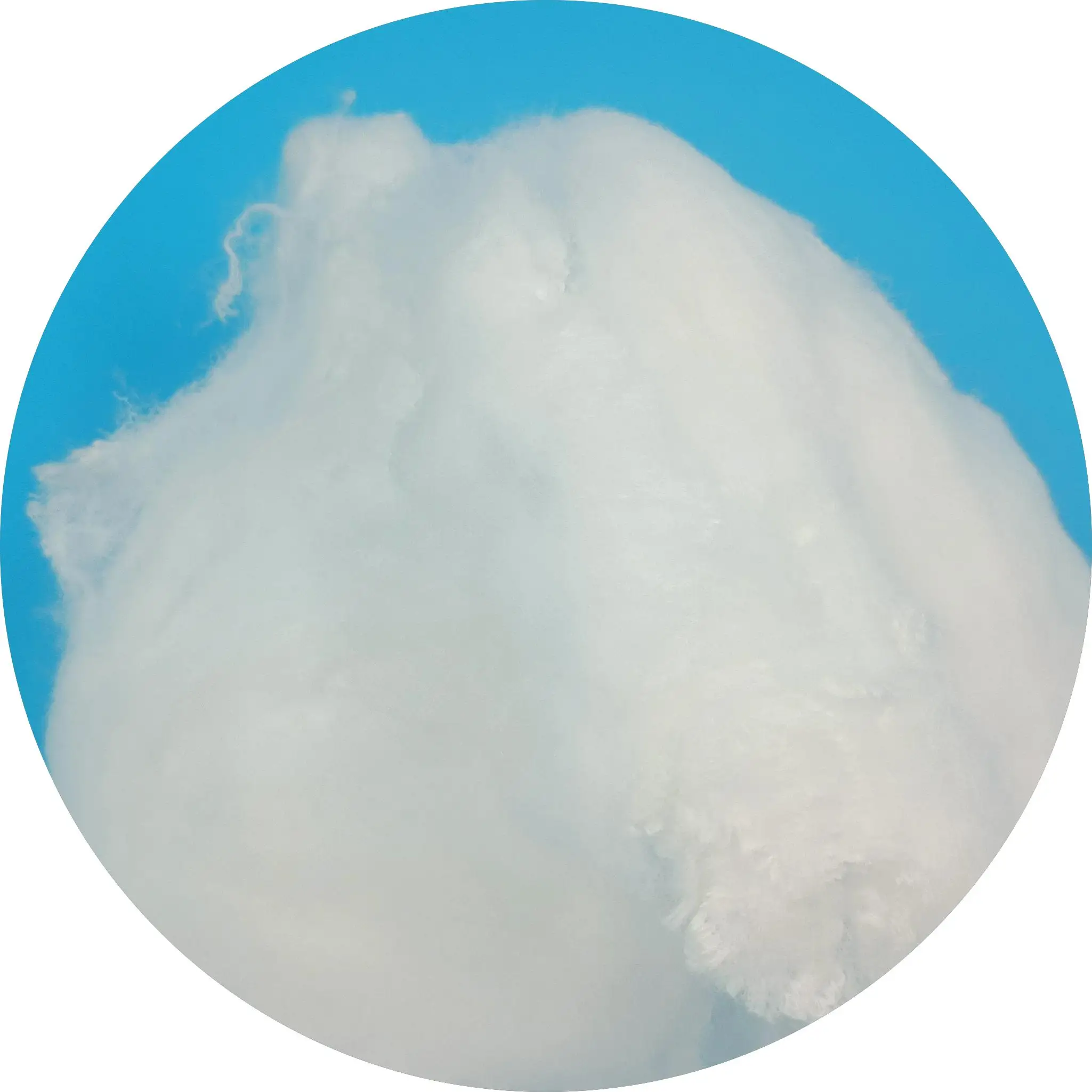 Colorful Single Hydrophilic PE/PET Staple Fiber for Nonwoven
