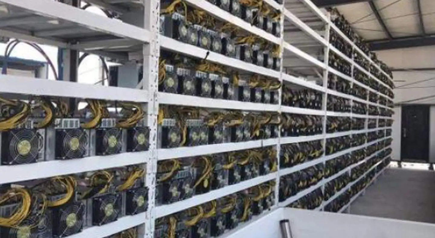 brand new New stock Avalon 1246 90t 85t 1246 1066 1066 pro 1166 1166 pro 90t 85t 72t 68t 55t 50t A1246 A1066  pro