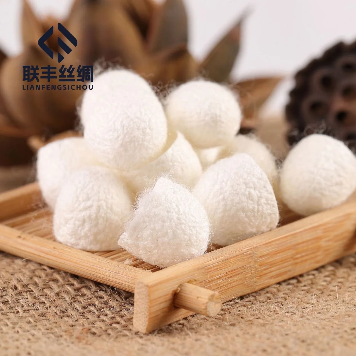 NATURAL SILK COCOON BEST PRICE FROM CHINA