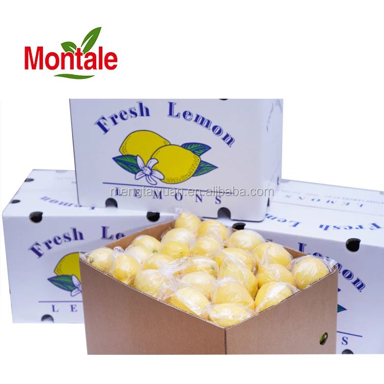 Montale Rich in Vitamins Fresh Lime Export Lemon