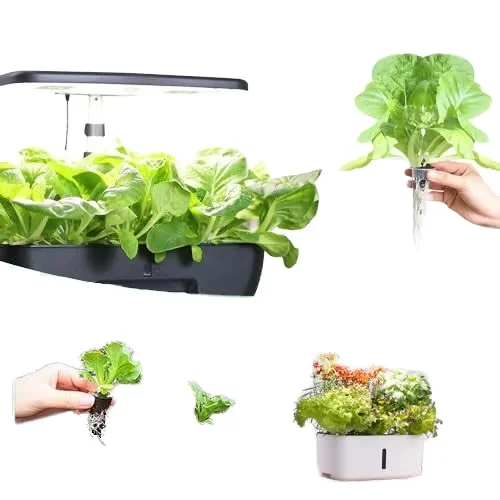 Wholesale 5.5cm High Square Hydroponic Sponge Small Single Sponge Planting Growth Agriculture Hydroponics Seedling Cultivation