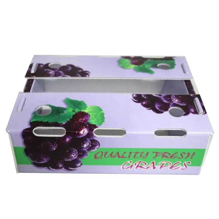 Corruone polypropylene  fruit  packaging pp corrugated plastic box Recycled plastic box