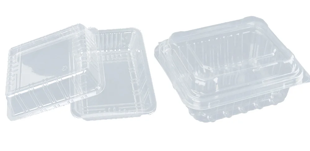 New model PP sushi takeaway plastic  box thermoforming machine