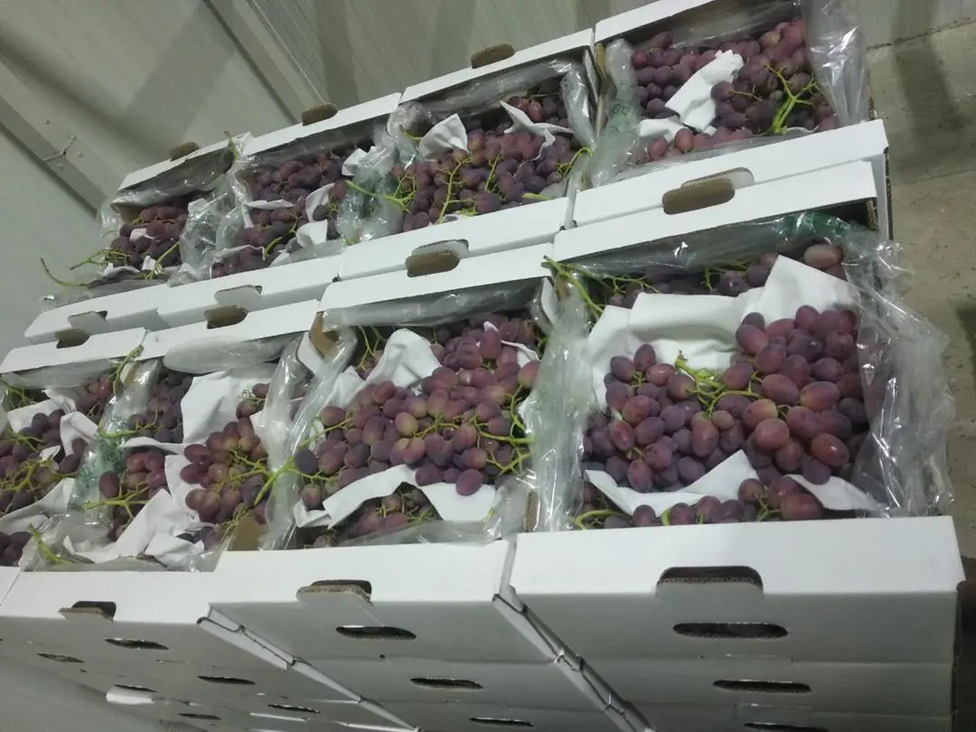 
Wholesale Box Style Storage Packaging Red Grape Slimming Grape Green Grapes 