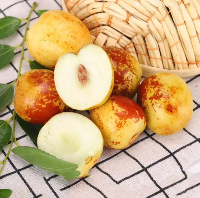 
Fresh Zizyphus jujuba/Round dates /winter jujube fruit supplier in China 