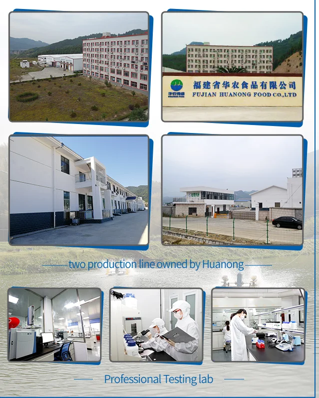 
6-20 OZ Broiled Eels Anguilla Japonica Conger Eel with high quality and factory price 