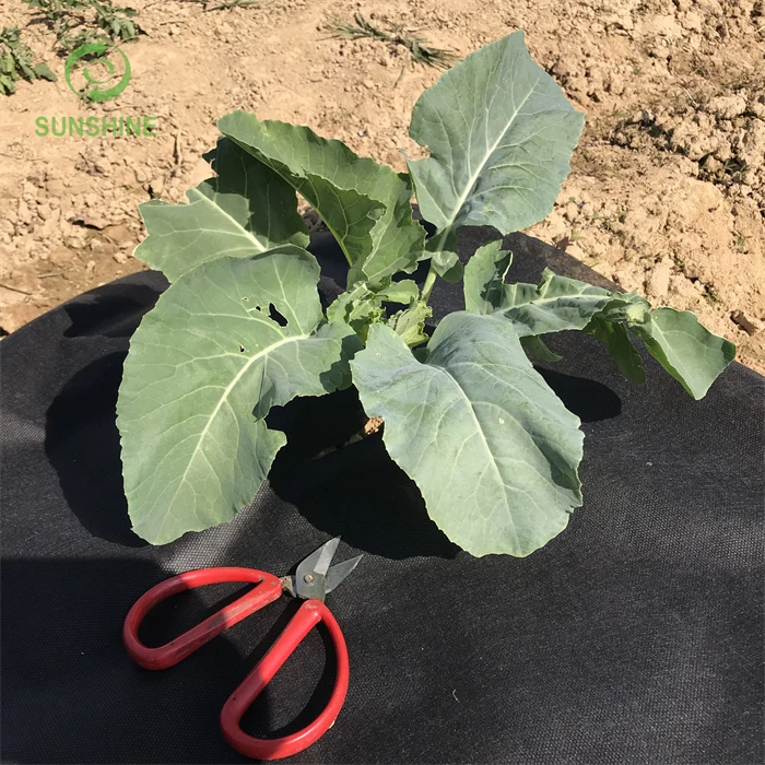 Weed control barrier mat in roll fabric / landscape ground cover / PP spunbond nonwoven agriculture fabric