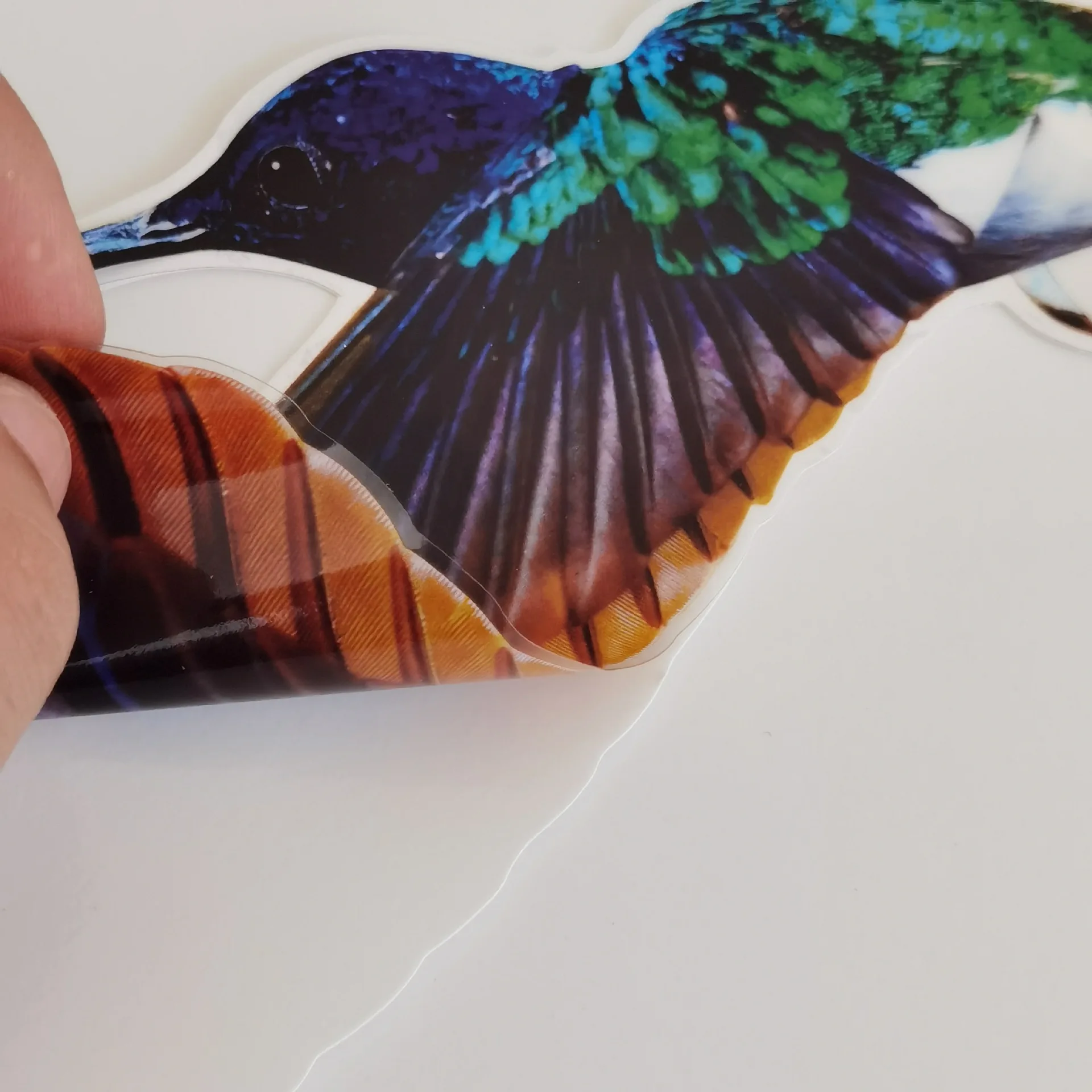Static Window Clings Vinyl bird prevention catch sun sticker catcher Static cling window film