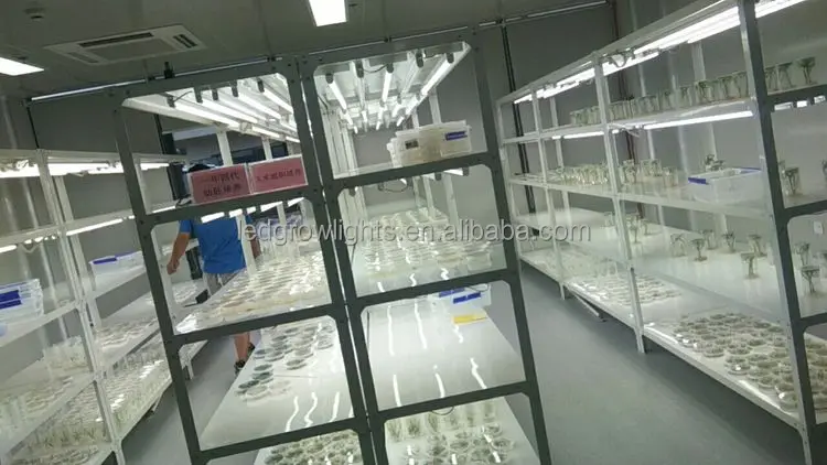 tissue culture rack (4).jpg