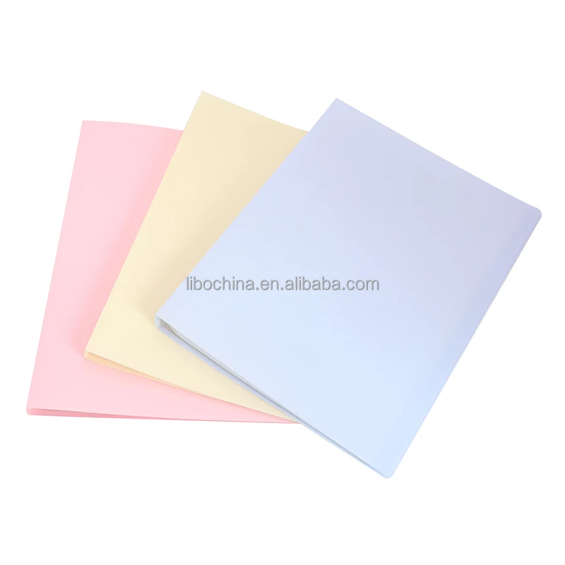 Custom High Quality Waterproof A4 Display Book 10 Pockets Presentation File Folder