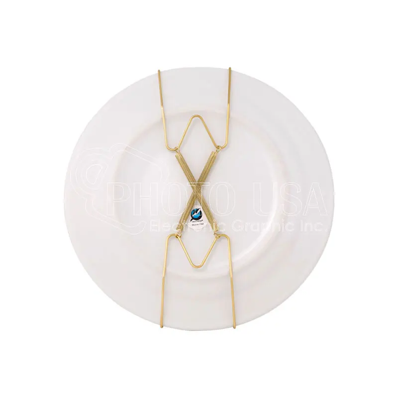 Spring Style Invisible Wire Plate Hangers for 8, 10, 12 Inch Plates