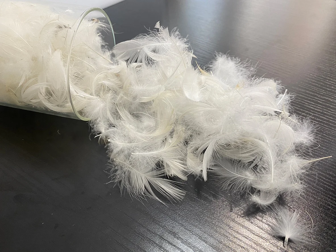 2-4cm large washed 90 white duck feathers: natural material for filling feather pillow sofa cushions