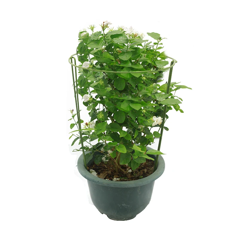 Durable Garden Single Stem Support Ring Cage Garden Plant Support Ring