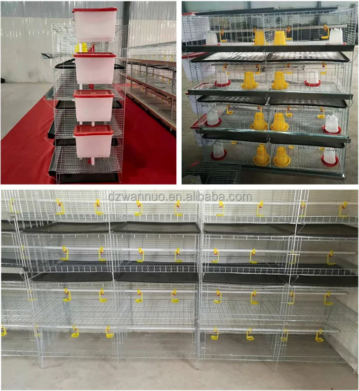 Poultry farm automatic chicken broiler day old chicks baby breeding cage H type 4 tires chicks brooder cage for home use