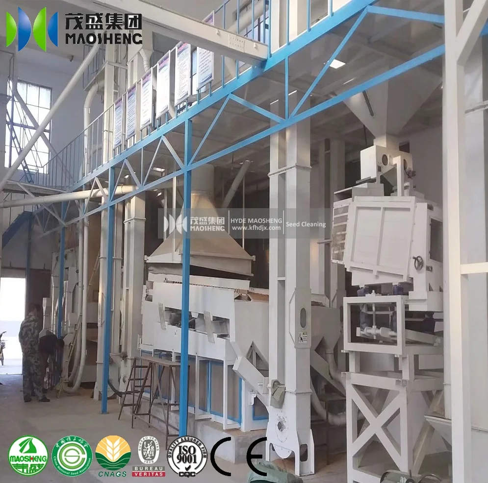 Wheat Processing Plant Manufacturer Sesame Seed Coffee Bean Cleaning Sorting Packing Machines Plant