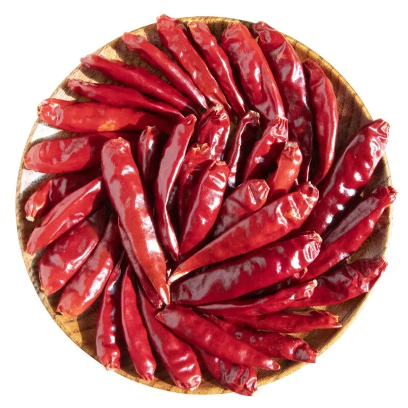 Dried Red Chili Spicy Food Variety in Bulk Packaging for Adding Flavor to Your Dishes