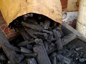 Direct factory price charcoal chicken briquettes Seaweed drying machine