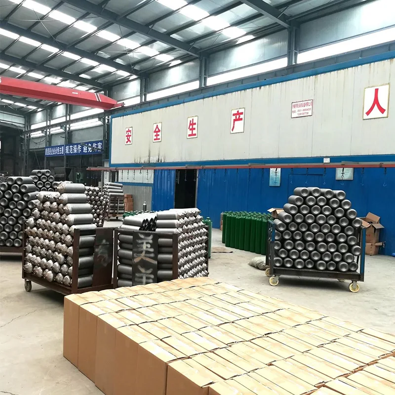 4L CO2 Steel Cylinder Refillable 4L Bar Seamless Steel High Quality Safety Valve CO2 Gas Cylinder Bottle for Plants Aquarium