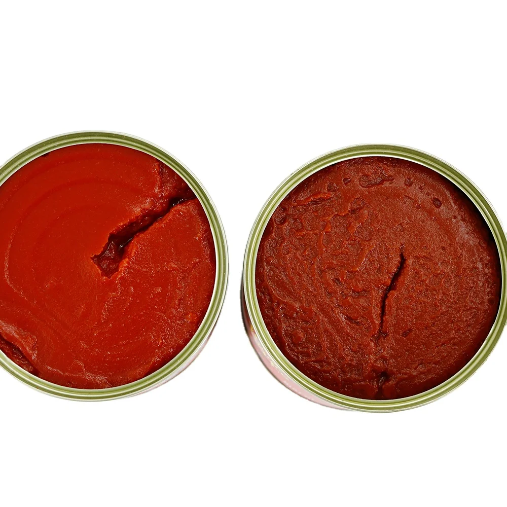 800g Best Brand Organic Canned Tomato Paste Manufacturer with Best Price