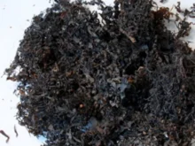 Direct factory price charcoal chicken briquettes Seaweed drying machine