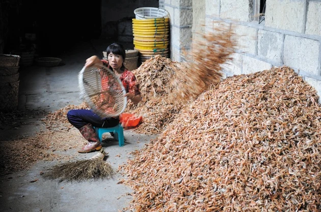 Hot Sale Shrimp Shell Powder from Vietnam Top Premium Natural Animal Feed for Cattle Best Price High Quality