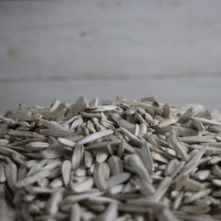 Factory Directly Supplies Sunflower Seeds cheap white Fried Sunflower Seeds