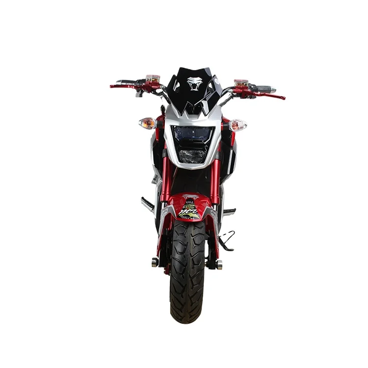 2000W 3000W Cheap Racing High Speed Adult Sport Electric Motorcycle