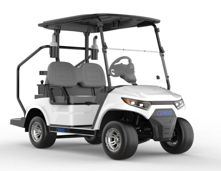 Deluxe 2 Seats Electric Golf Cart Lithium Battery Lead Acid Battery
