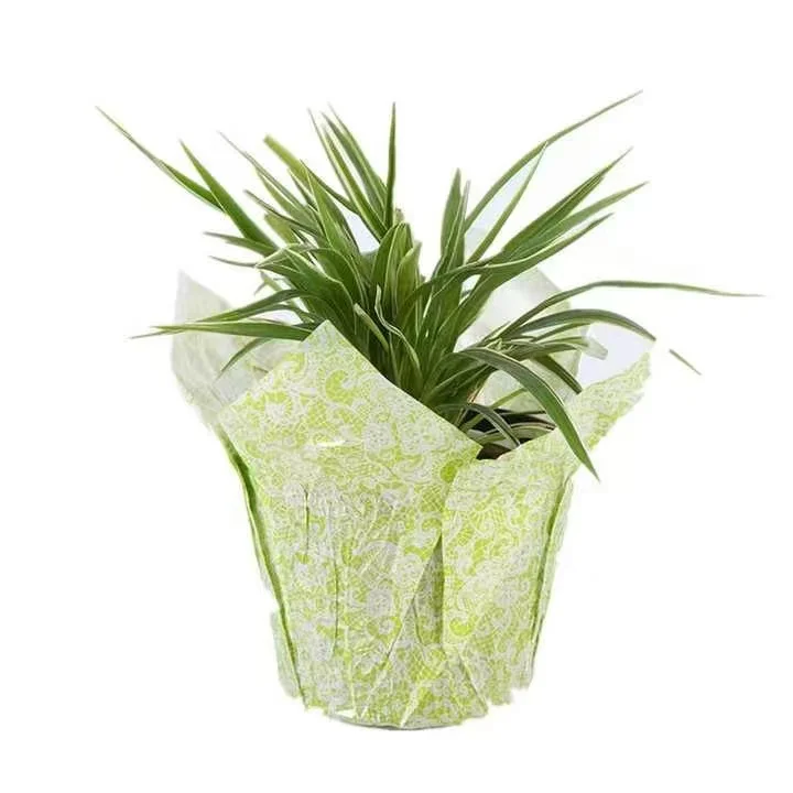 Customization Kraft Paper Flower Pot Cover High Quality Unique Style Indoor Paper Plant Flowers Pot Covers