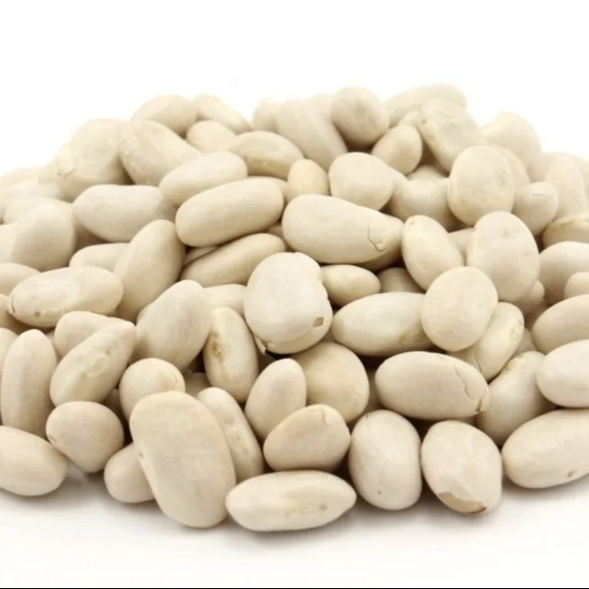 best price of great northern beans